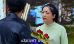 福根进城电视剧,农村青年奋斗记